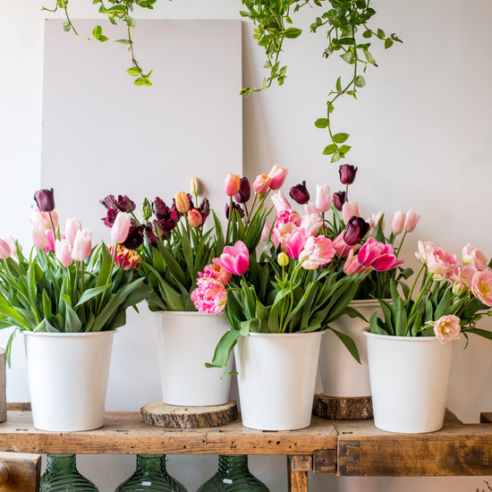 Locally Grown Flowers are Back 2021!