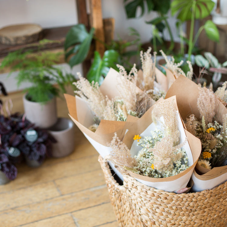 Dried Flowers