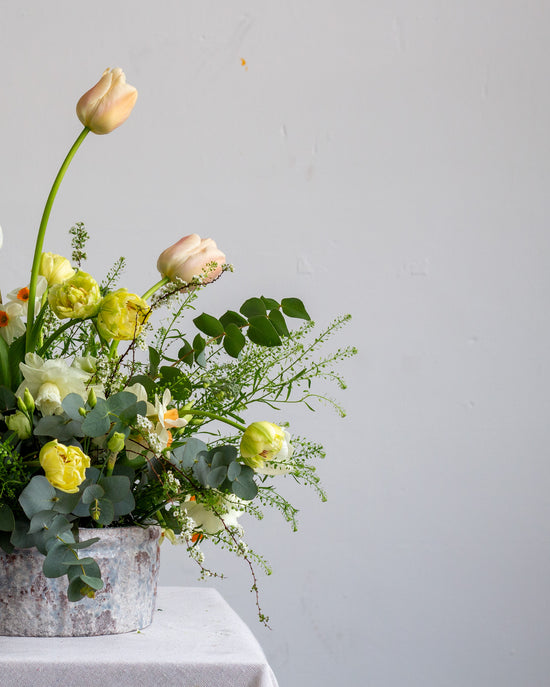 Floristry Masterclass: BOWL ARRANGEMENT Saturday 25th January 2025 10am - 12pm