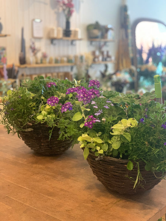 Summer Planting Workshop Sunday 11th May 2025 at WHEELBIRKS from 11.30am