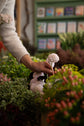 Floristry Immersive 2 week Course Mon 12th Jan - 23rd Jan 2026 10 - 4pm @ WHEELIBIRKS STUDIO