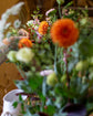 Floristry Masterclass: VASE Saturday 16th November 2024 10am - 12pm