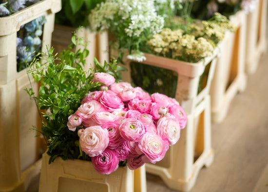 Floristry Immersive 2 week Course Mon 12th Jan - 23rd Jan 2026 10 - 4pm @ WHEELIBIRKS STUDIO