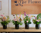 Floristry Masterclass: AUTUMN BOUQUET Saturday 18th October 2025 10am -12pm @ JESMOMD STORE