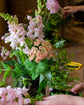 Floristry Masterclass: AUTUMN VASE ARRANGEMENT Saturday 4th October 2025 10am - 12pm @ JESMOND STORE