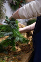 Christmas Wreath Making Workshop Sunday 7th December 2025 1.30pm - 3.30pm @ JESMOND STORE
