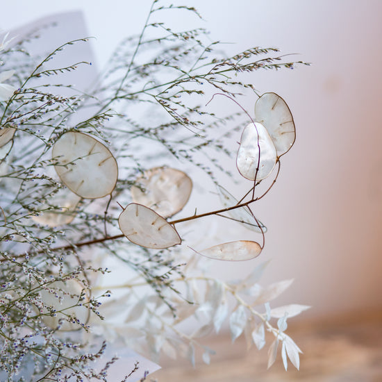 Winter Whites Dried Bouquet