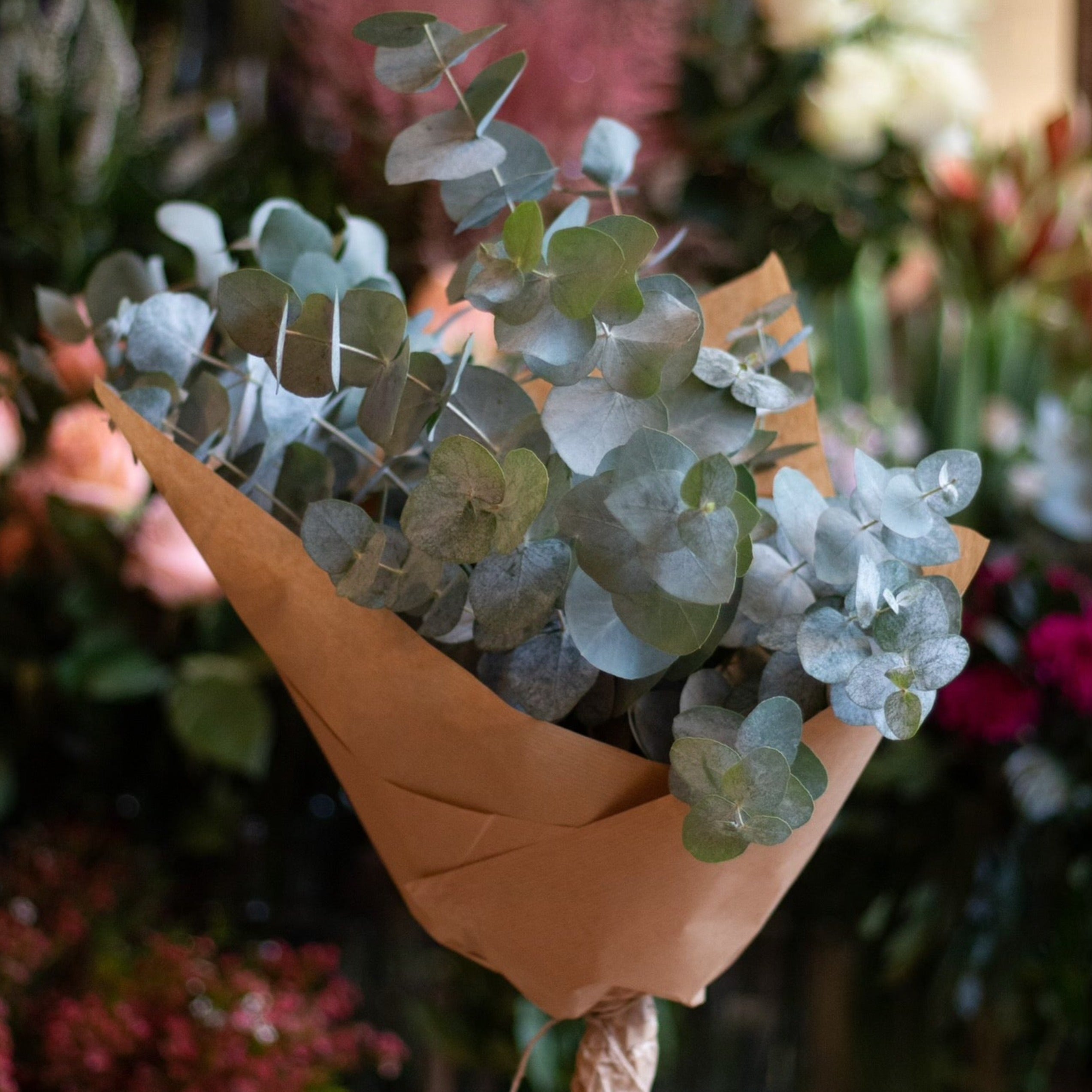 Eucalyptus Bunch